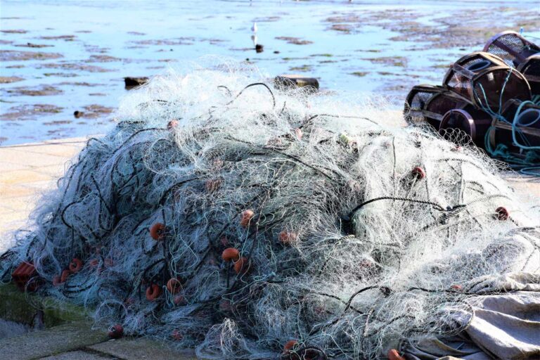 Infraestrutura. Arte pesca da sardinha e peixe pequeno