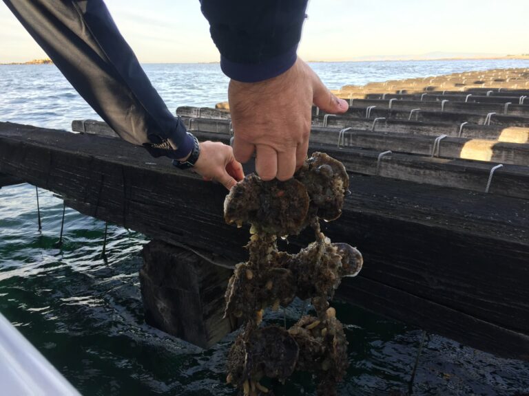 ROTA DAS ARTES DE PESCA DE EMBARCAÇÃO TRADICIONAL