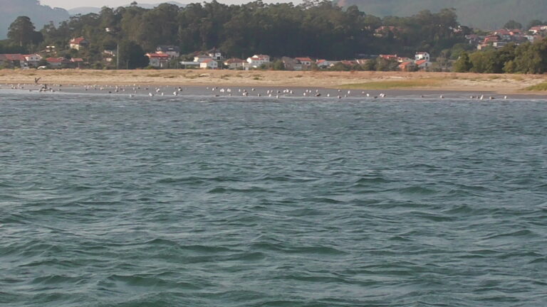 INSEL XUNQUEIRA