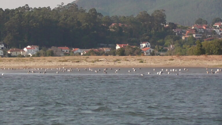 INSEL XUNQUEIRA