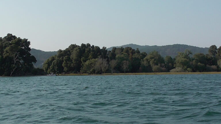 ILHA MORRACEIRAS DAS VARANDAS
