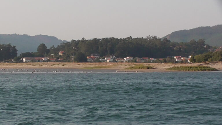 INSEL XUNQUEIRA