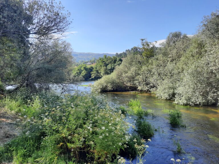 Anleger von São Martinho da Gandra, Ponte de Lima