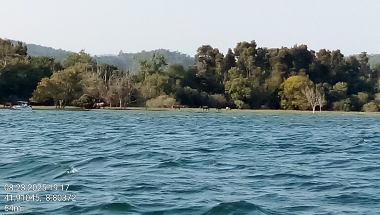 ILHA MORRACEIRAS DAS VARANDAS