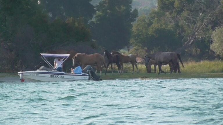 ILHA MORRACEIRAS DAS VARANDAS