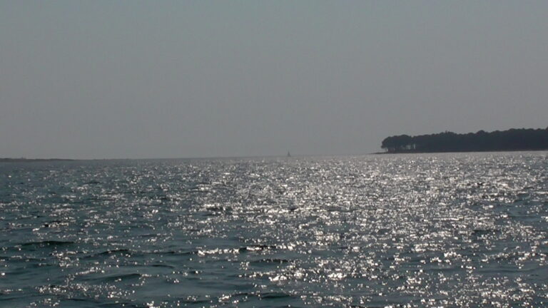MARSHES OF THE MIÑO RIVER AT THE MOUTH