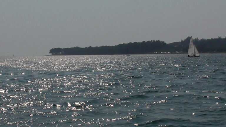 MARSHES OF THE MIÑO RIVER AT THE MOUTH