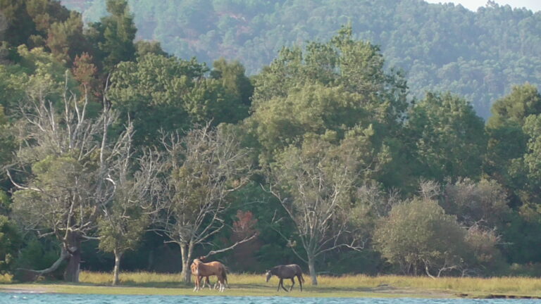 ILHA MORRACEIRAS DAS VARANDAS