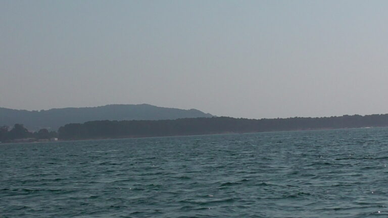 MARSHES OF THE MIÑO RIVER AT THE MOUTH