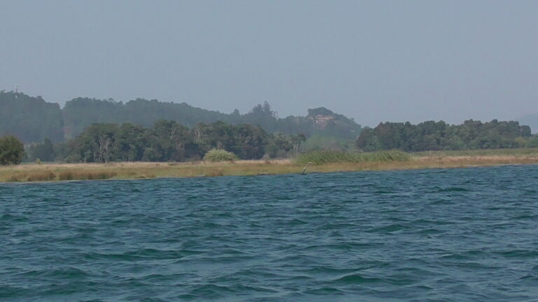INSEL XUNQUEIRA