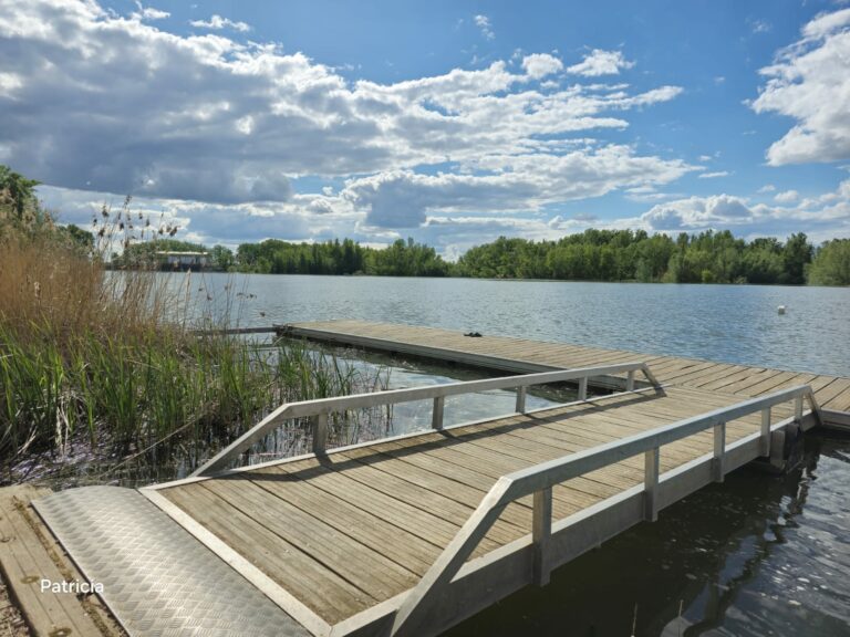 TORO PIER